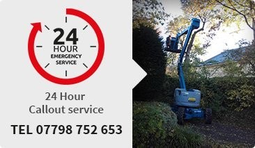 Kings Tree Care Services tree surgeons carrying out work near Pangbourne
